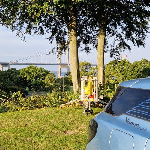 Beskæring af træer og udendørs vedligeholdelse som ejendomsservice på Vestfyn