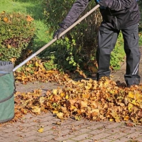 Viceværtservice med udendørs vedligeholdelse og oprydning