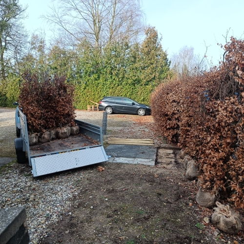 Ejendomsservice på Vestfyn med plantning af hæk, oprydning og klargøring af udearealer