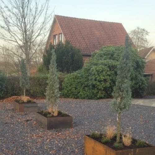 Plantekasser og højbed i have med beplantning