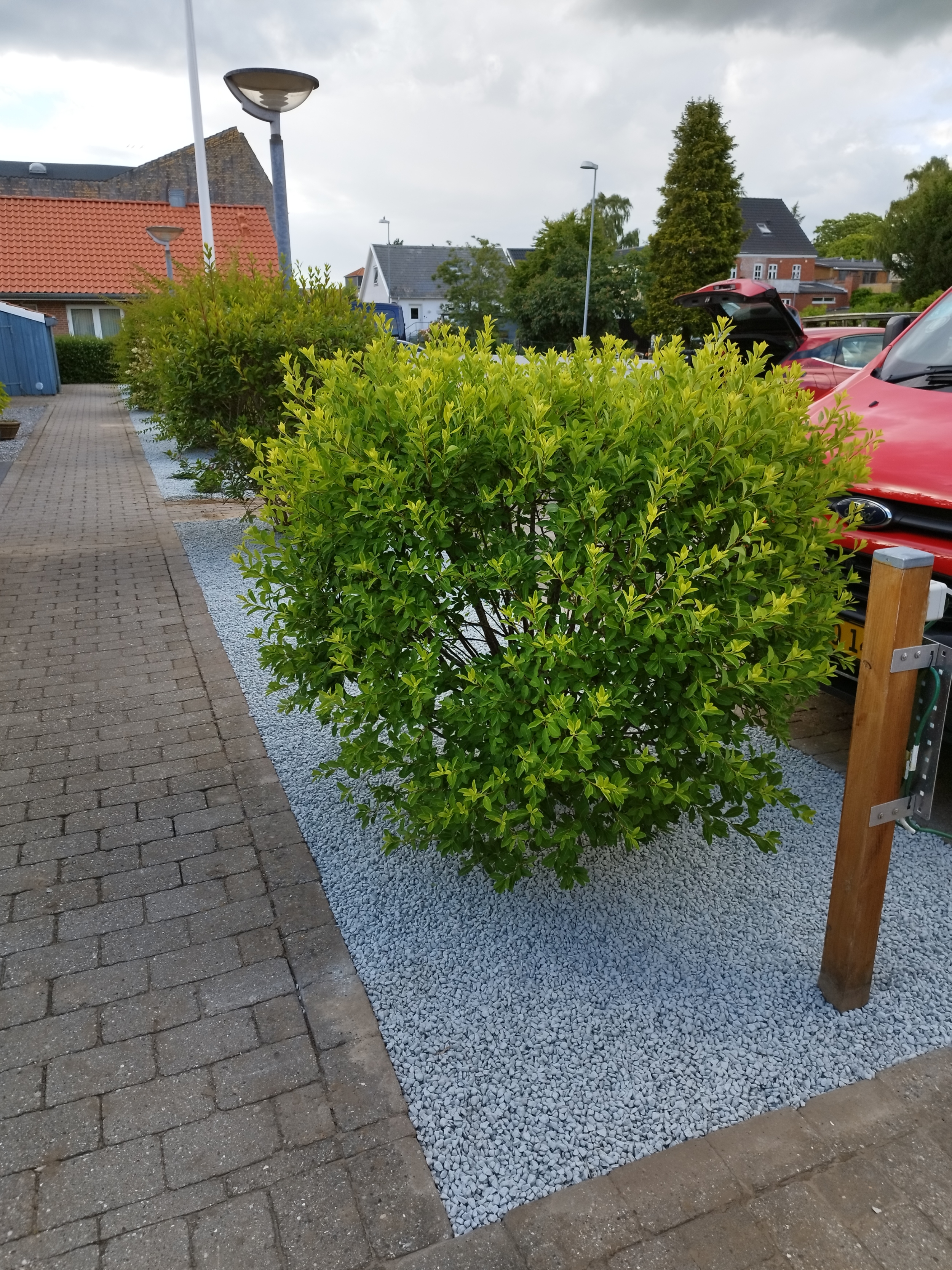 Renovering af bed med pyntesten og opfriskning af udendørsareal